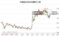 002463股票