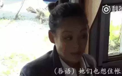 娱乐圈吃瓜许晴,娱乐圈的瓜田,她如何成为焦点?