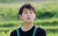 爱豆吃瓜娱乐酱陈晓,爱豆吃瓜娱乐酱,揭秘娱乐圈幕后故事