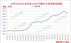玉米价格最新行情走势,最新行情走势解析