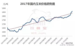 玉米价格最新行情走势,最新行情走势解析