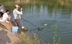 娱乐吃瓜钓鱼视频下载安装,娱乐吃瓜钓鱼视频,轻松安装体验新乐趣